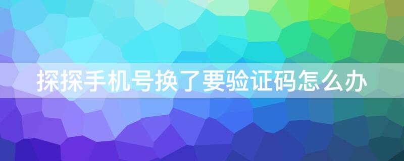 探探手机号换了要验证码怎么办 探探手机号换了要验证码怎么办呢