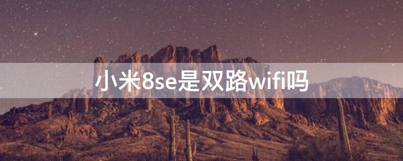 小米8se是双路wifi吗（小米8se支持wifi6吗）