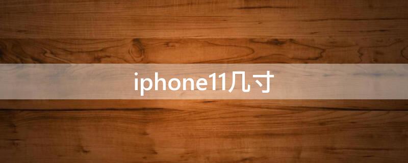 iPhone11几寸（iphone11几寸屏）