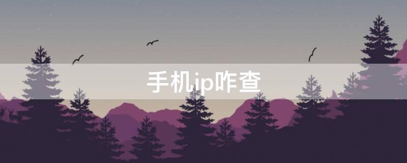 手机ip咋查 怎么查手机的IP