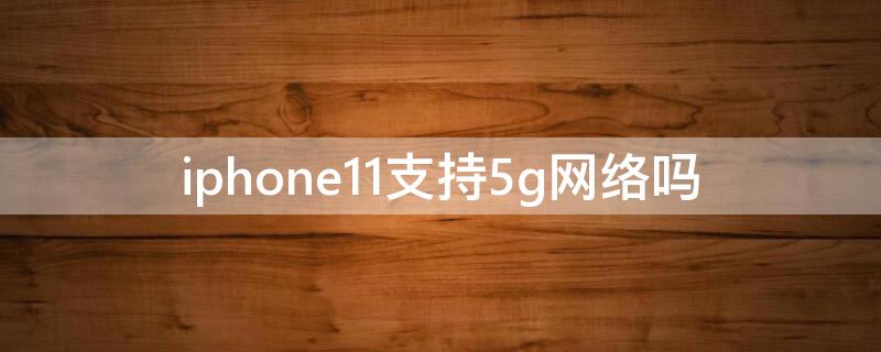 iPhone11支持5g网络吗（iphone11能用5g网吗）