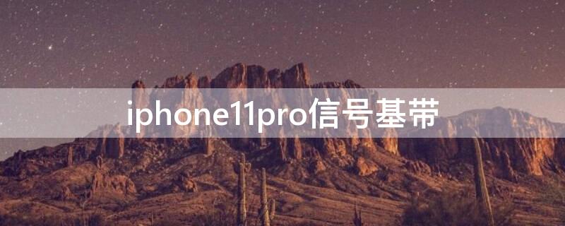 iPhone11pro信号基带（苹果11pro信号基带）