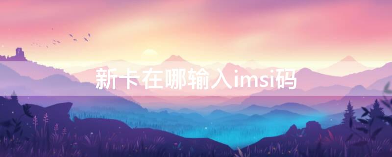 新卡在哪输入imsi码（新卡在哪输入imsi码不出来）