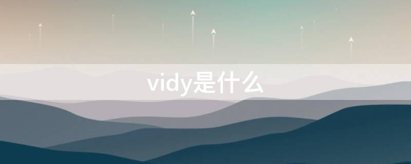 vidy是什么（vidya什么意思）