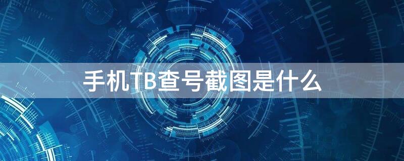 手机TB查号截图是什么