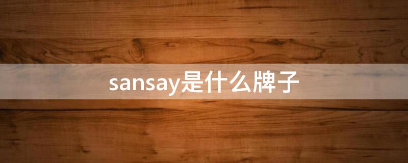 sansay是什么牌子（sansay是什么牌子手机）