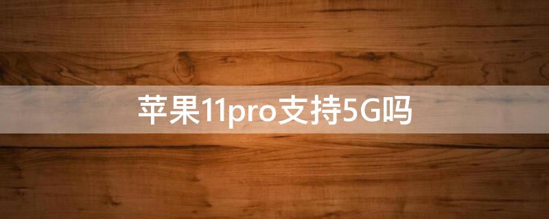 iPhone11pro支持5G吗 apple11pro支持5g吗