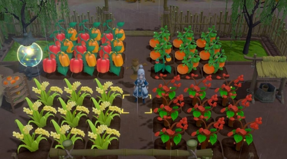 一方灵田种植系统简单介绍 一方灵田种植系统有什么玩法