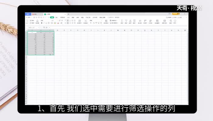 excel表格筛选条件在哪里设置