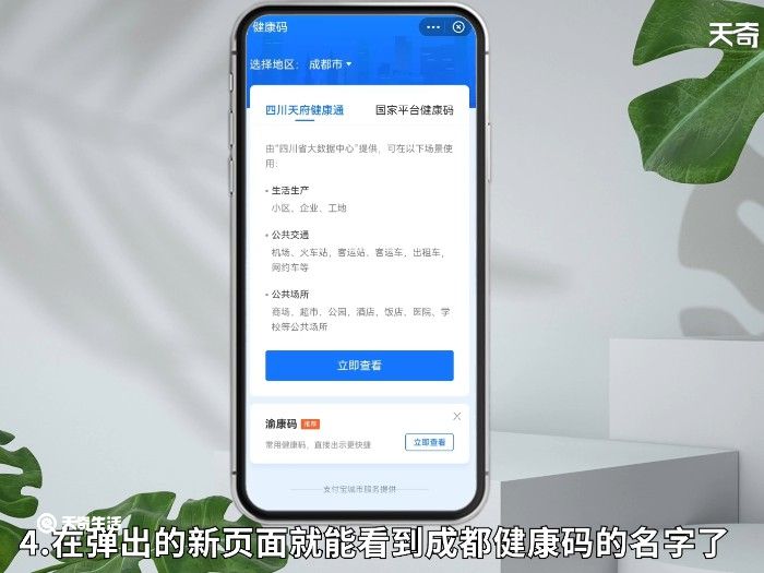 成都的健康码叫什么码