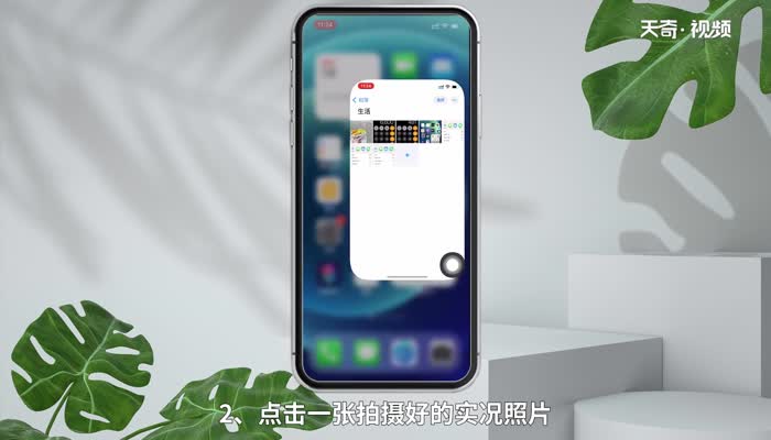 苹果手机实况怎么选取其中一帧