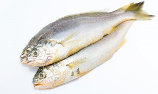 清蒸鱼的做法家常菜 清蒸鱼的做法最正宗的做法