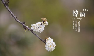 2022年惊蛰天气如何（今年惊蛰天气）