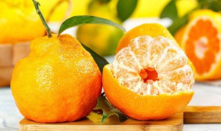 丑橘和耙耙柑区别（丑橘与耙耙柑一样吗）