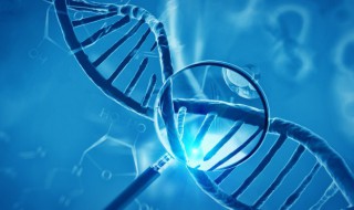 转基因和非转基因的区别是什么 转基因和非转基因的区别是什么?