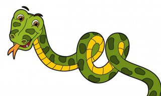 蛇为什么会有两个蛇鞭（蛇为什么是双鞭）