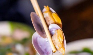 花蛤壳属于什么垃圾 花蛤壳属于什么垃圾?