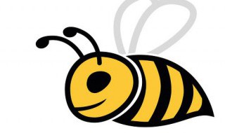 蜜蜂和马蜂的区别 蜜蜂和马蜂的区别图片