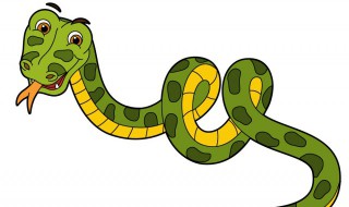 白环蛇和银环蛇的区别是什么（银环蛇和白花蛇的区别）