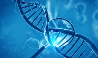 杂交与转基因的区别是什么 杂交是转基因吗转基因是什么概念