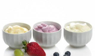 酸乳和酸奶的区别 风味酸乳和酸奶的区别
