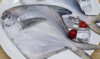 银鲳鱼的营养价值及功效 银鲳鱼的营养和功效