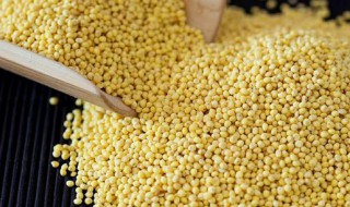 大黄米的营养价值及功效与作用（大黄米的营养价值及功效与作用和禁忌）