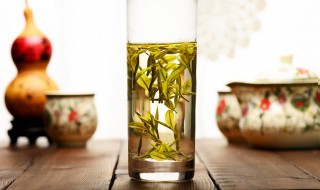 自制青梅绿茶的材料和做法步骤（青梅绿茶可以做什么饮品）