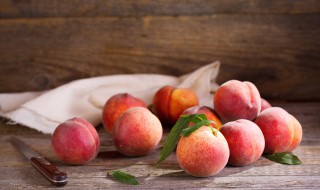桃驳李和油桃的区别是什么 桃李是油桃吗