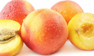 油桃和桃子的区别是什么（油桃和桃子的区别是什么?）