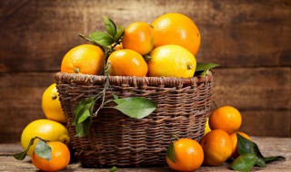 橙子橘子桔子柑子的区别（橘子和橙子有什么区别）