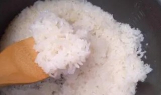 江米能蒸米饭吗（江米可以蒸米饭么）