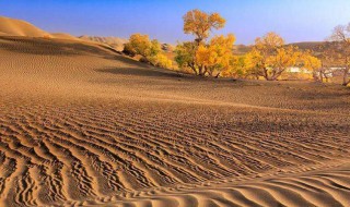 历史上的沙漠未解之谜 历史上消失在沙漠中的国家