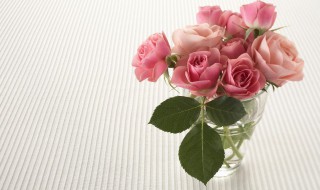 向女神表白送几朵玫瑰花 向女友表白送几朵玫瑰花