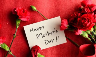 母亲节送花攻略这些花语你知道吗 母亲节适合送给妈妈的鲜花及花语(图