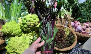 紫菜苔的营养价值（紫菜苔的营养价值及功效）