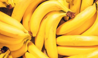 芭蕉和香蕉是一个东西吗 芭蕉和香蕉的是一种吗