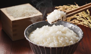 麦仁米蒸米饭需要泡吗 麦仁蒸米饭需要泡多久