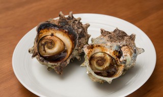 海螺壳怎么清洗才没腥味 海螺壳怎么去除腥味