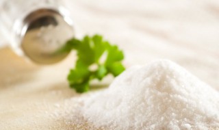 自贡井盐是怎么形成的 自贡盐井的历史