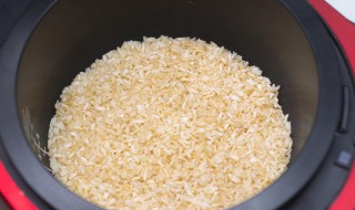 吃糙米饭的好处和坏处（长期吃糙米饭对身体有没有坏处）