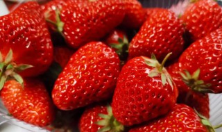 草莓哪个季节最好吃（草莓是什么季节吃的才好吃?）