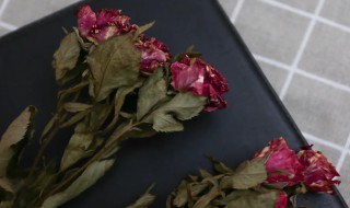 玫瑰花怎么保存成干花需要多久（玫瑰花干花能保存多久）