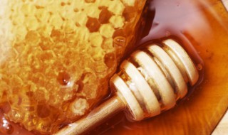 蜂房的营养价值 蜂房什么作用