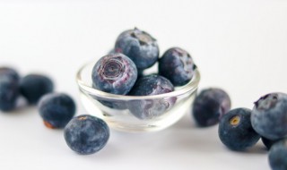 蓝莓种植技术方法是什么 蓝莓怎样种植?