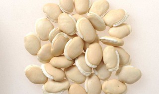 白扁豆的营养价值 白扁豆的营养价值和药用功效