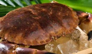 面包蟹怎么保存到第二天 面包蟹放冰箱保鲜怎么储存