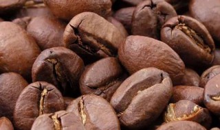 cacao和cocoa区别 cocoa和cocoa的区别