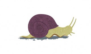 蜗牛是国家几级蜗保护动物 蜗牛属于什么物种