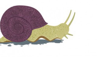 蜗牛是保护动物吗 蜗牛是有害动物